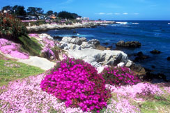View of Monterey Peninsula, California, USA