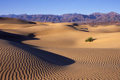 Tours to Death Valley National Park