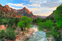 Экскурсия в Национальный Парк Сион (Zion)