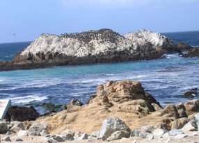 17-Mile Drive view