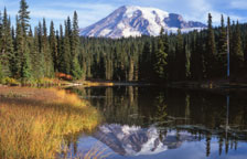 Экскурсии и туры в Национальные Парки США (Mount Rainier National Park, Utah)