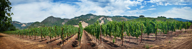 Sonoma Valley panorama